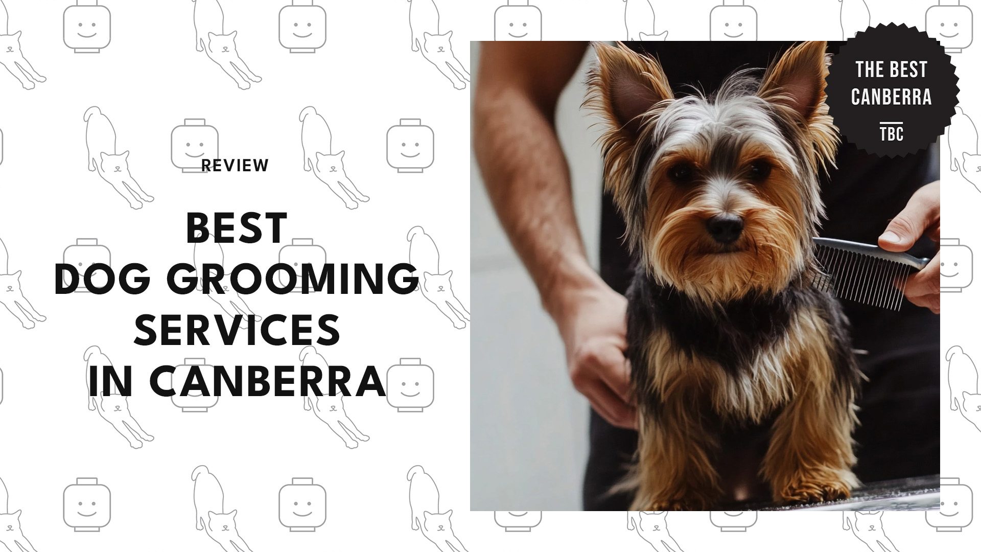 best-dog-grooming-canberra-banner