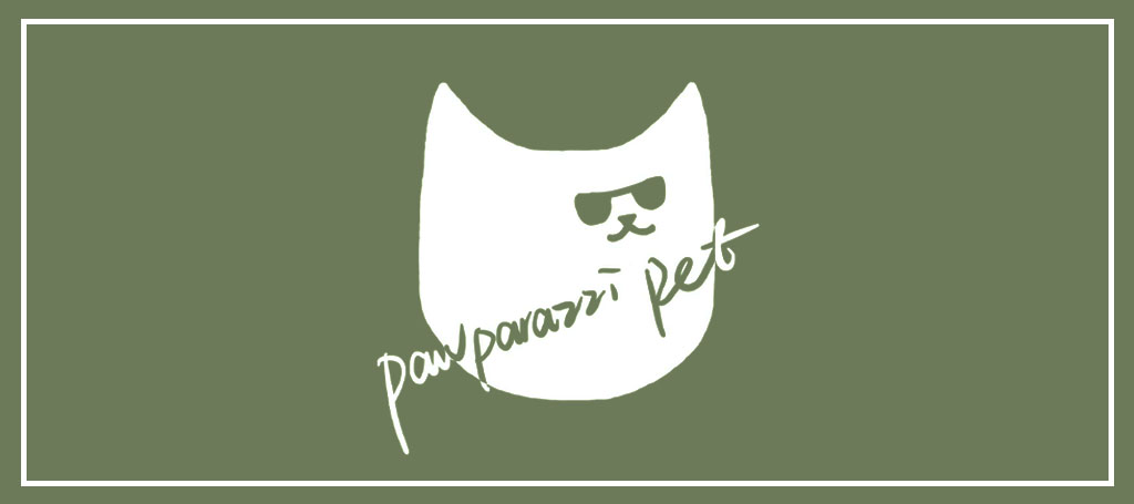 pawparazzi-pet-braddon-logo