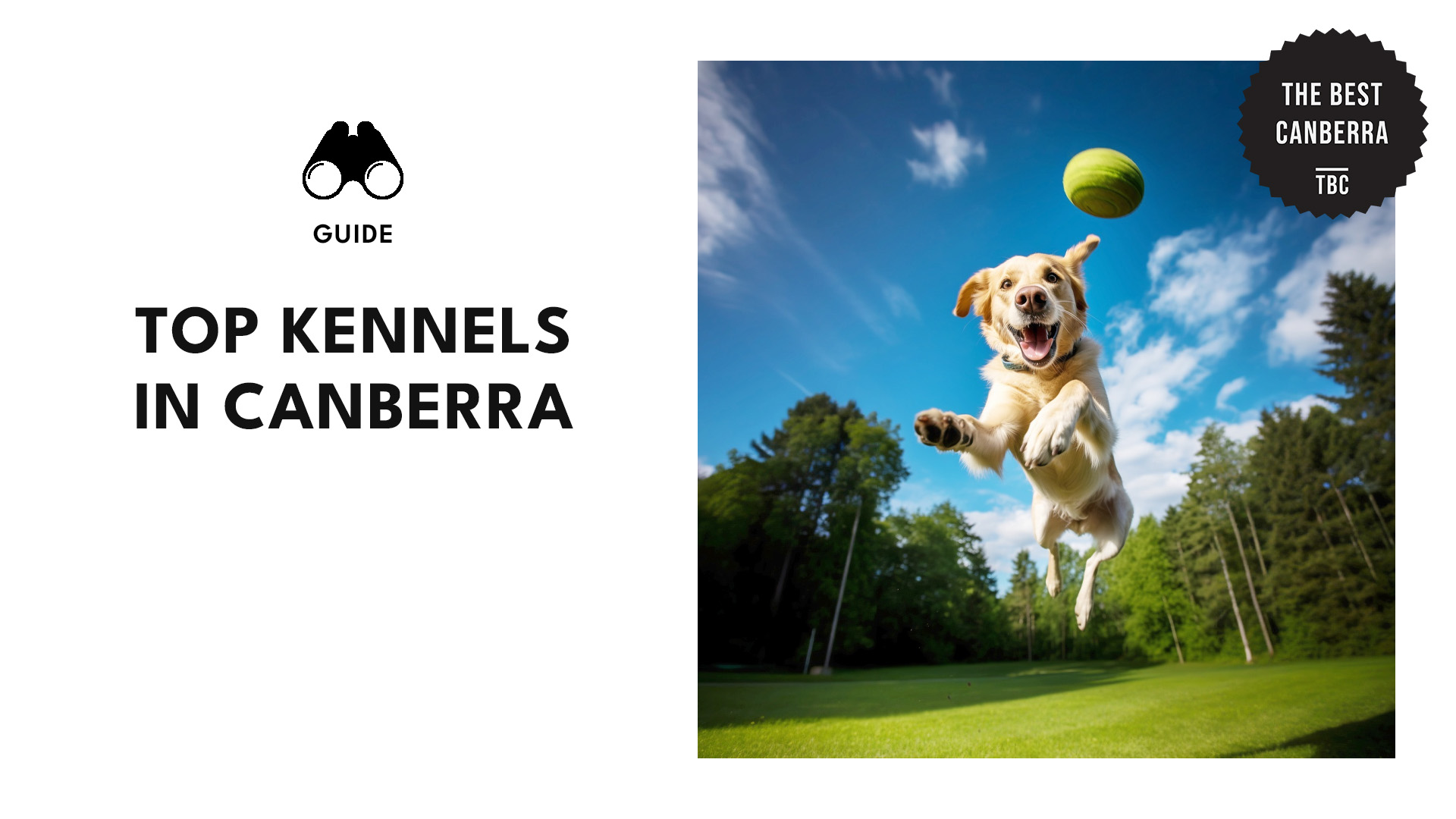 top-kennels-canberra-banner