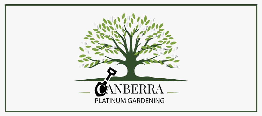 canberra-platinum-gardening-logo